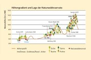 Höhenprofil des Bayerischen Waldes mit Baumartenvorkommen