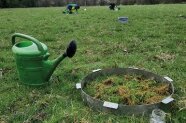 Metallring auf einer Waldwiese, mit abgeschürftem Waldboden