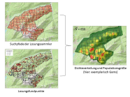 Losungszählung, Dichteverteilung und Populationsgröße