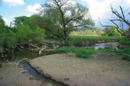 Flusslauf mit Kehren und Windungen, dabei viel angewemmtes Holz und sandig-feuchtes Terrain