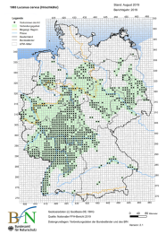 Verbreitungskarte des Hirschkäfers, Schwerpunkte in Nordbayern und entlang der Donau