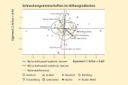 Grafik mit bunten Kringeln 