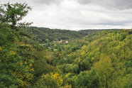 Blick über ausgedehnte Buchenmischwälder in einem Tal