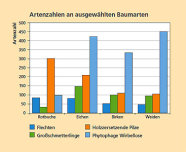 a86 - Naturschutzfachliche Aspekte zur Pflege von Jungbeständen