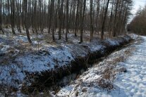 Auf dem Bild ist ein langer Schwarzer Graben zu sehen. Links davon sind viele Baumstämme zu sehen und auf der rechten Seite des Grabens beginnt eine Wiese. Die Wiese und der Waldboden sind mit Schnee bedeckt.