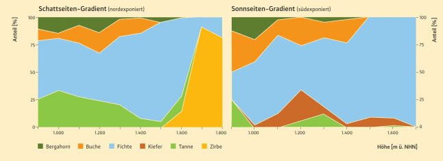 Diagramme zeigen die Anteile der vorkommenden Baumarten in Abhängigkeit von der Höhe über NN