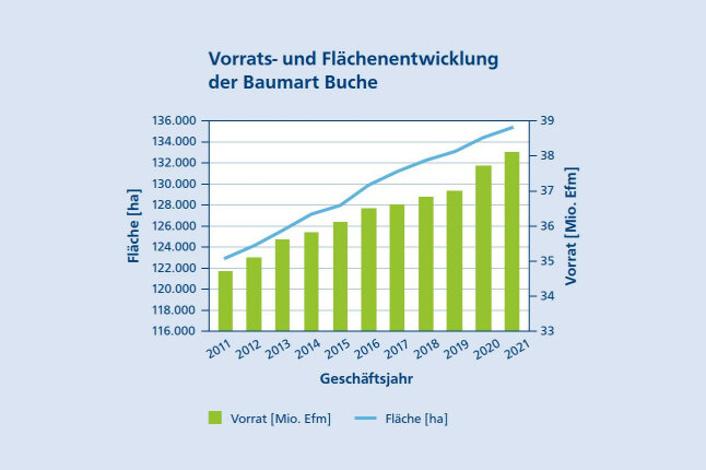 Diagramm zeigt einen Zuwachstrend der Buche im Staatsforst in den letzten 10 Jahren