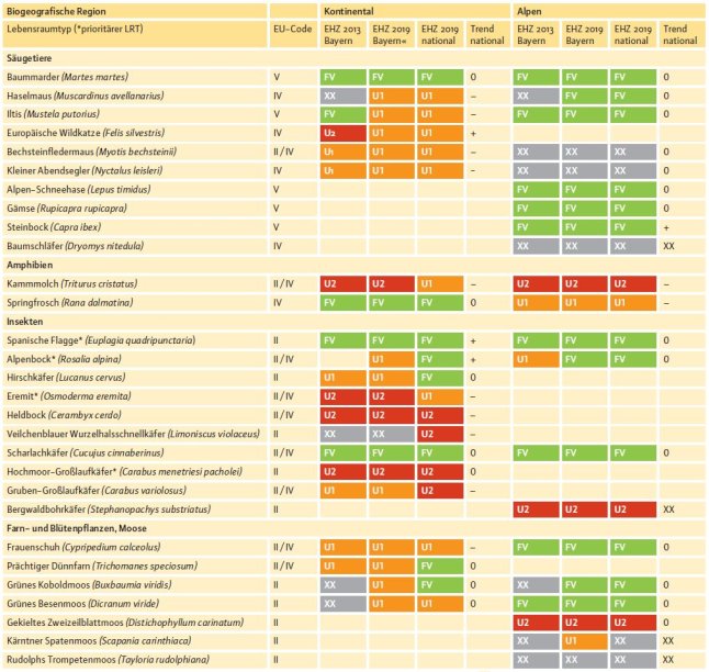 Tabelle mit zehn Spalten und dreiunddreißig Zeilen. Sie wird von links nach rechts gelesen. Die Hälfte aller Lebensraumtypen hat einen günstigen Erhaltungszustand, ca. ein Drittel einen unzureichenden und sieben einen schlechten Erhaltungszustand.