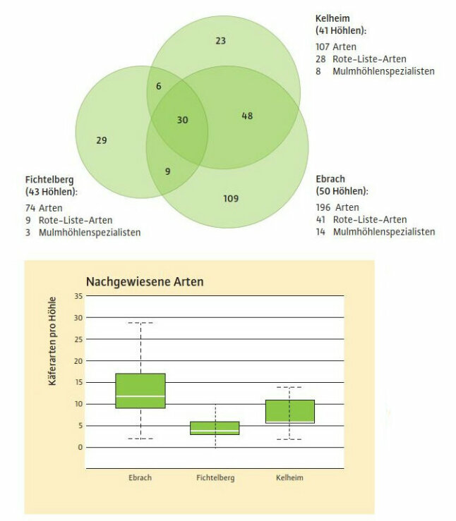 Schnittmengen gemeinsamer Arten unter den Standorten und durchschnittliche Artenzahlen