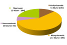 Kreisdiagramm: 6% Elsbeere im Kommunalwald, 23% im Staatswald, 13% im Großprivatwald und 58% im Kleinprivatwald