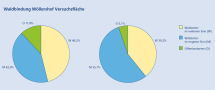 Zwei Kreisdiagramme, die die Waldbindung der Spinnenarten auf der Versuchsfläche beschreiben.