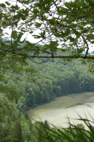 Großer See in einem Mischwald.