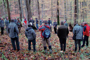 Grupper Personen im Wald