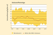 Horizontale Linien; darüber in Geld eine zackige Fläche, darin eine rote Linie