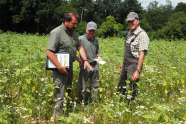 Drei Männer diskutieren auf einer landwirtschaftlichen Fläche.