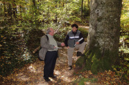 Zwei Männer im Wald neben einer starken Buche