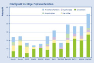 Tabelle der Häufigkeit wichtiger Spinnenfamilien