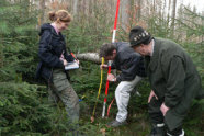 Drei Personen mit Fluchtstab und Meterstab im Wald