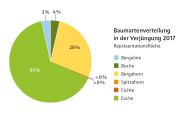 Esche 65%, Bergahorn 28%, Buche 4%, Bergulme 3%, Spitzahorn und Fichte 0%