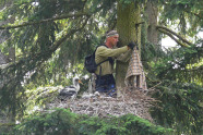 Ein Mann steht in einem Vogelnest