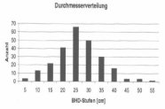 Auf den Repräsentationsflächen liegt der Schwerpunkt der Durchmesserverteilung bei 25cm. Weitere Informationen im Text.