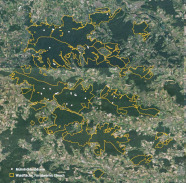 Luftbild eines Waldgebietes mit gelb markierten Grenzen.