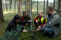 Menschen mit Fluchtstäben begutachten Waldverjüngung (Foto: Tobias Bosch)