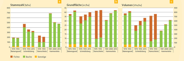 Entwicklung der Stammzahlen ist rückläufig, Grundfläche und Volumen nehmen dafür zu. Gilt für Fichte, Buche und sonstige Baumarten.