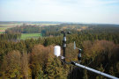 Blick von der Windmessstation über den Bestand