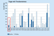 Diagramm das die Tage mit Trockenstress über die Jahre 1961 bis 2016 zeigt; Fichte hat jährlich deutlich höheren Stress