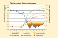 Grafik mit blauer zackiger Kurve, die stetig sinkt; darüber rote und grüne zackige Kurve, die steigt