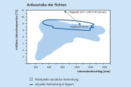 Anbaurisiko der Fichte in Abhängigkeit von Temperatur und Niederschlag; ab etwa 10 Grad mittlerer Jahrestemepratur wird es kritisch, bei niedirger Tmeperatur von max. -2 Grad reichen 400 mm/Jahr, ab etwa 4 Grad mittlerere Temperatur werden 1000 mm/Jahr benötigt, maximal jedoch 1400 mm/Jahr