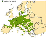 Die Geografische Karte zeigt die Verbreitung der Rotbuche.