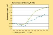 Grafik mit einer blauen und einer grünen Linie, die grüne ist über das blauen