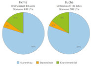 Das Kreisdiagramm zeigt die Biomassekompartimente in Fichten- und Buchenbeständen.