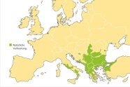 Karte von europa mit grünm markierten Bereichen in Südosteuropa