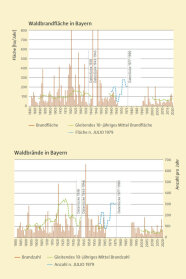 Zwei Balken Liniengrafiken zeigen zum einen die Waldbrandfläche und zum anderen die Anzahl