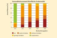 Säulendiagramm mit fünf Säulen: die ganz links mit viel grün und wenig gelb/orange; im Verlauf anch rechts immer weniger grün und mehr gelb/orange und rot