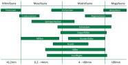 Schema der wichtigen Artengruppen der Bodenlebewesen