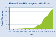 Graphische Entwicklung von Ulmenpflanzungen: von 1997 bis 2007 nicht nennenswert, danach rasanter Anstieg auf knapp unter 250 pro Jahr
