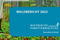Titelseite Waldbericht 2023