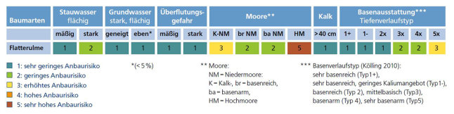 Tabelle mit bunten Feldern