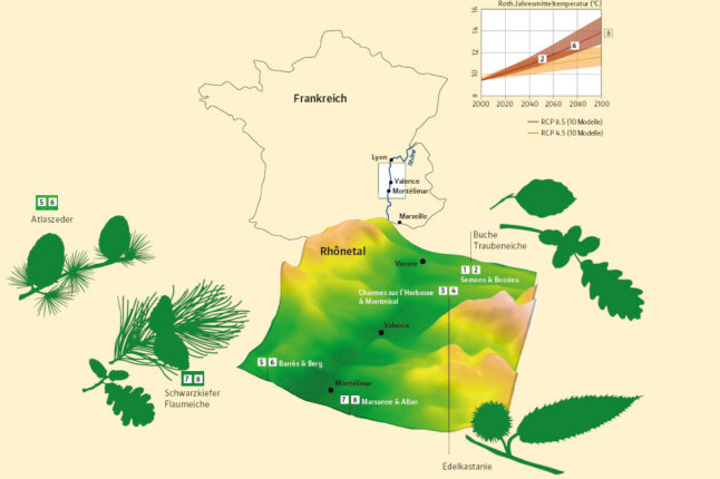 Visualisierung des Rhôntals in Correlation mit dem Climaszenario RCP 8.5