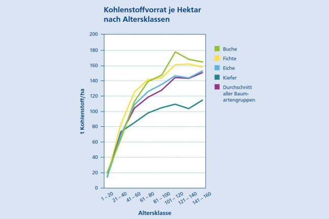 Liniendiagramm zeigt die Kohlenstoffanreicherung in Bäumen auf einer zeitlichen Skala.