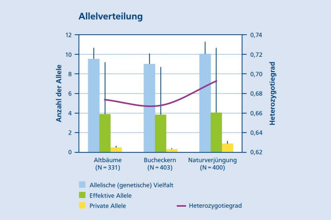 Säulendiagramm zeigt genetische Vielfalt