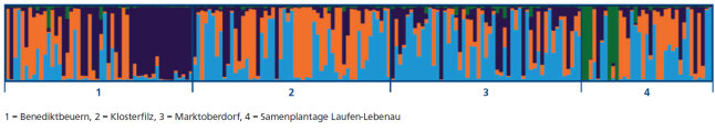 Ein Balken mit 4 unterschiedlichen Sandorten und deren Genetischer Cluster