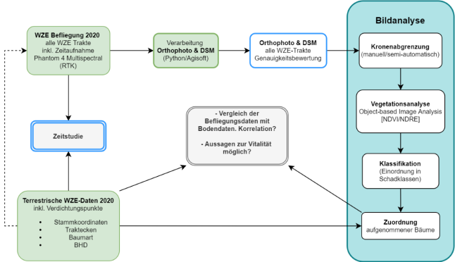 Grafik mit mehreren Textkästen und Pfeilen zur Erläuterung der Arebitspakete dees Projekts.