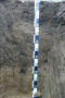 Bodenprofil eines Lössbodens, mit Maßband