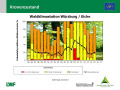 Balkendiagramm, auf der x-Achse sind die Jahre 195-2017, auf der y-Achse die Schadstufe bzw. der mittlere Blattverlust in Prozent dargestellt. Die Balkenfasrbe reicht von orange (Schadstufe 1) bis rot (Schadstufe 3)