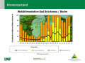 Grafik zu Messergebnissen der Waldklimastation Bad Brückenau.